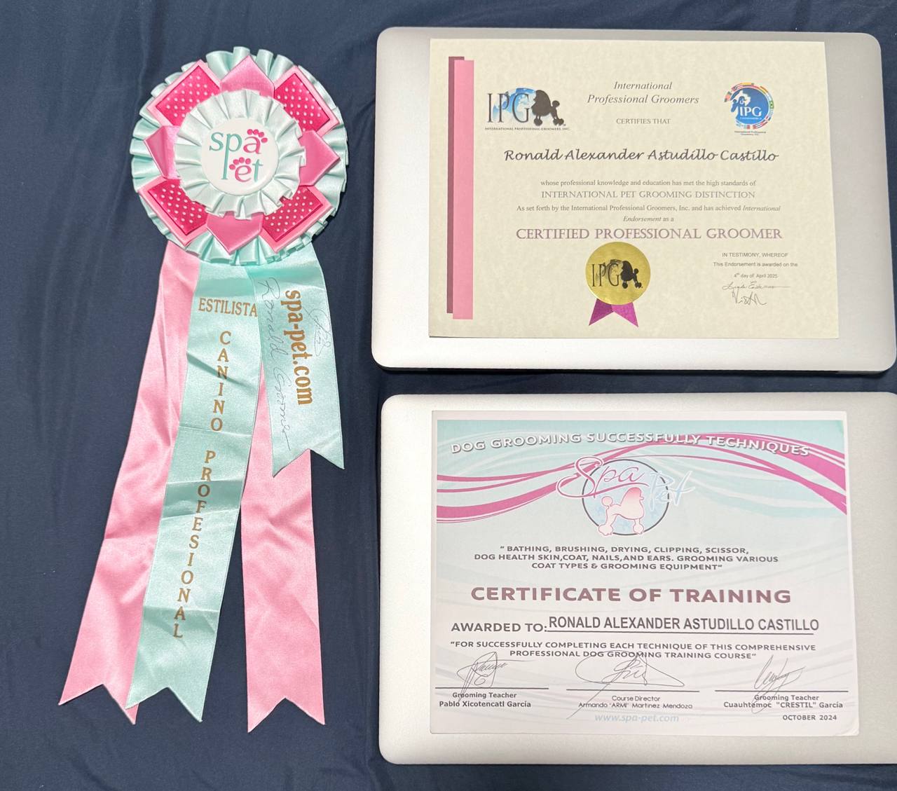 Certificación Internacional IPG - Estilista Canino y Felino Profesional